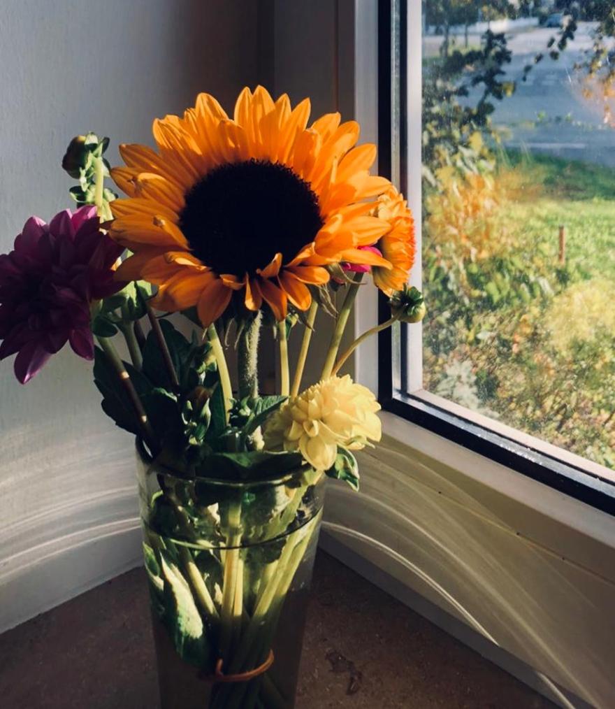 Hebamme Thea Dammrich Datenschutz